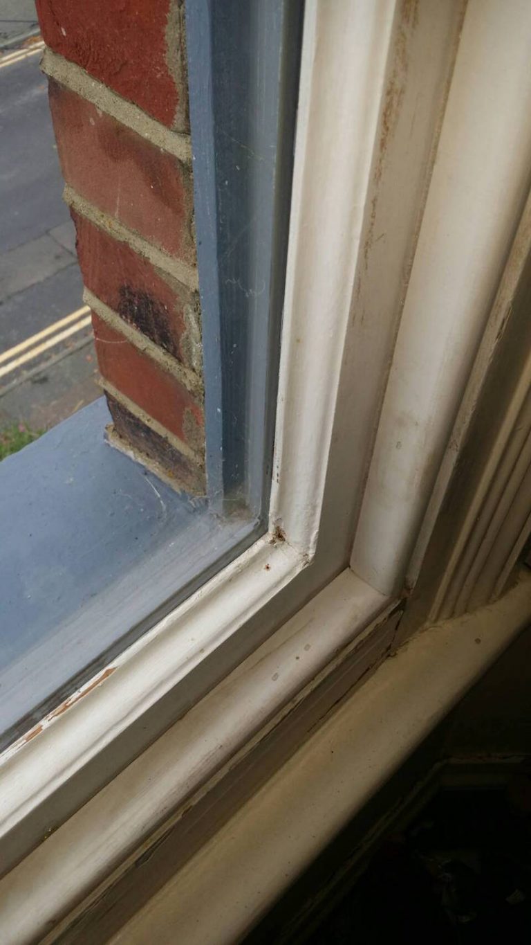 Wooden Double Glazed Sash Windows London Sash Window Repairs Ltd