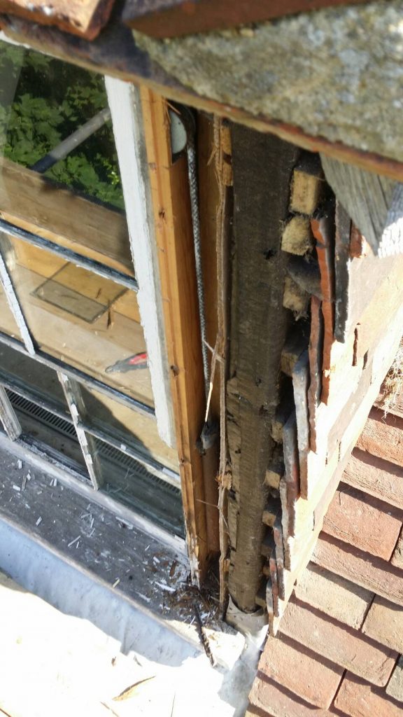 Replace or repair my sash windows?