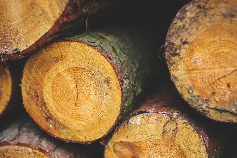 sustainable timber forestry