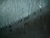 Preventing condensation on sash windows